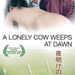 Одинокая корова плачет на рассвете (2003) смотреть онлайн бесплатно