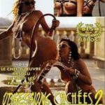 Тайные наваждения 2 (1993) смотреть онлайн бесплатно