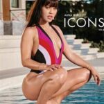 Icons 8 Vixen