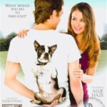 Lost And Found (2011) New Sensations