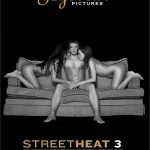 Street Heat 3 (2007) JoyBear Pictures